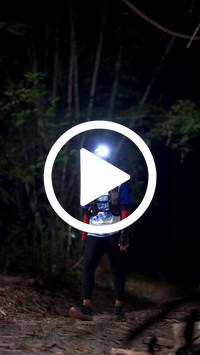 BIB:  <button type="button" onclick="openModal(28094238)" class="btn btn-primary btn-sm float-right" data-toggle="modal" data-target=".modal-high-quality">
                <i class="fa fa-download"></i> Download
                </button>